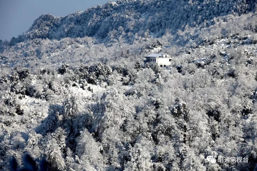 昭通小草坝雪景美艳四方