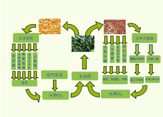玉米全株利用循环产业链项目商业计划书参考模板