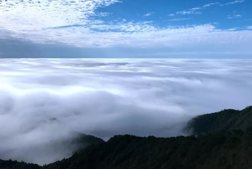 云海一样的景色云海一样的境界美哉东华山云海