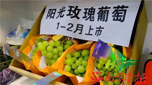 「图文」人气爆棚！天哪噜，本届冬交会最大展馆居然有这么多好吃好玩的