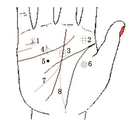 财运线图解:手相财运线算命图解