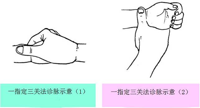 儿推临床辨证绝招小儿脉诊