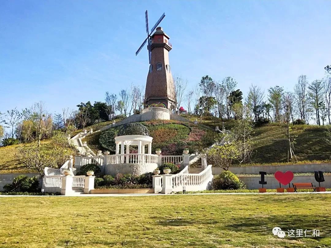 焕然一新普达花海景观升级完工抽空去饱览美丽花海