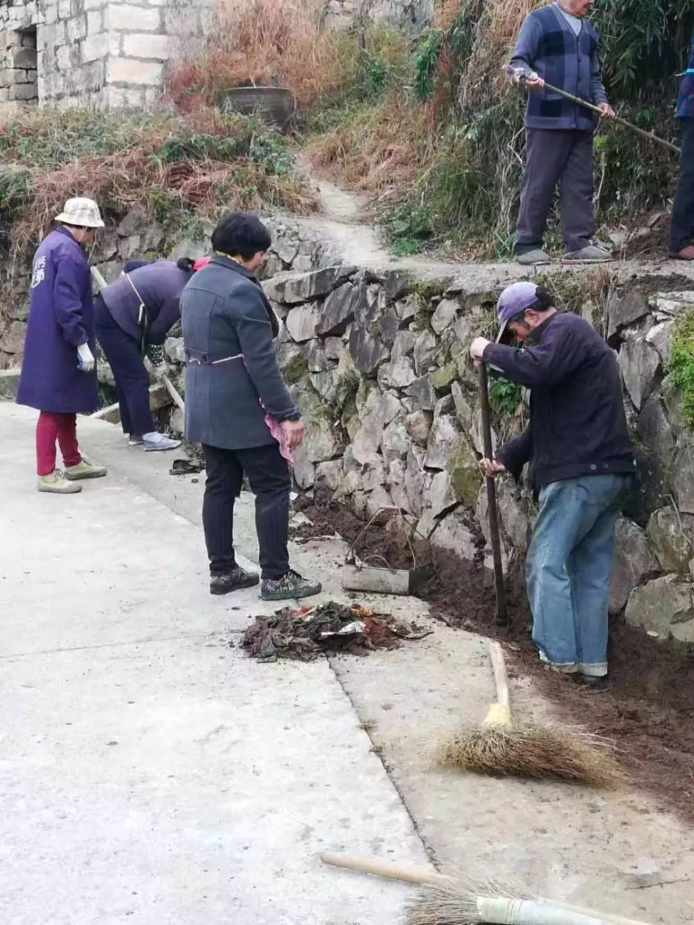 大洋镇:洁净三举措,实现村庄换颜