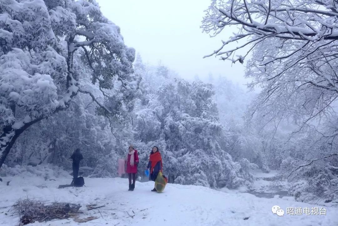 昭通小草坝雪景美艳四方