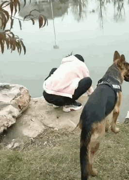 老婆蹲在河邊洗東西，狗叼著她的衣服往後拽，網友：狗在保護人 職場 第1張