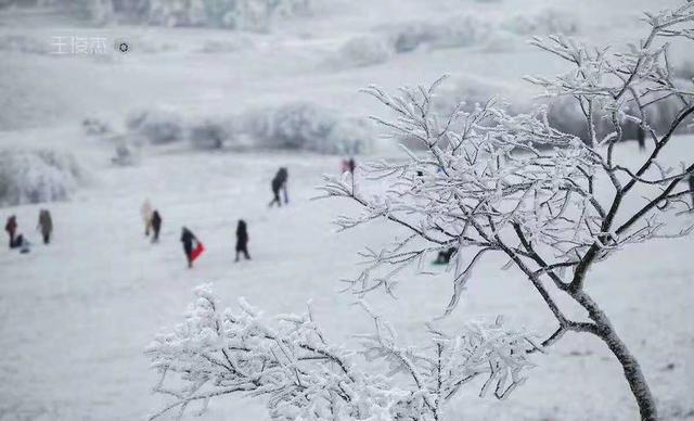 雪景怎么穿搭_冬天雪景图片(2)