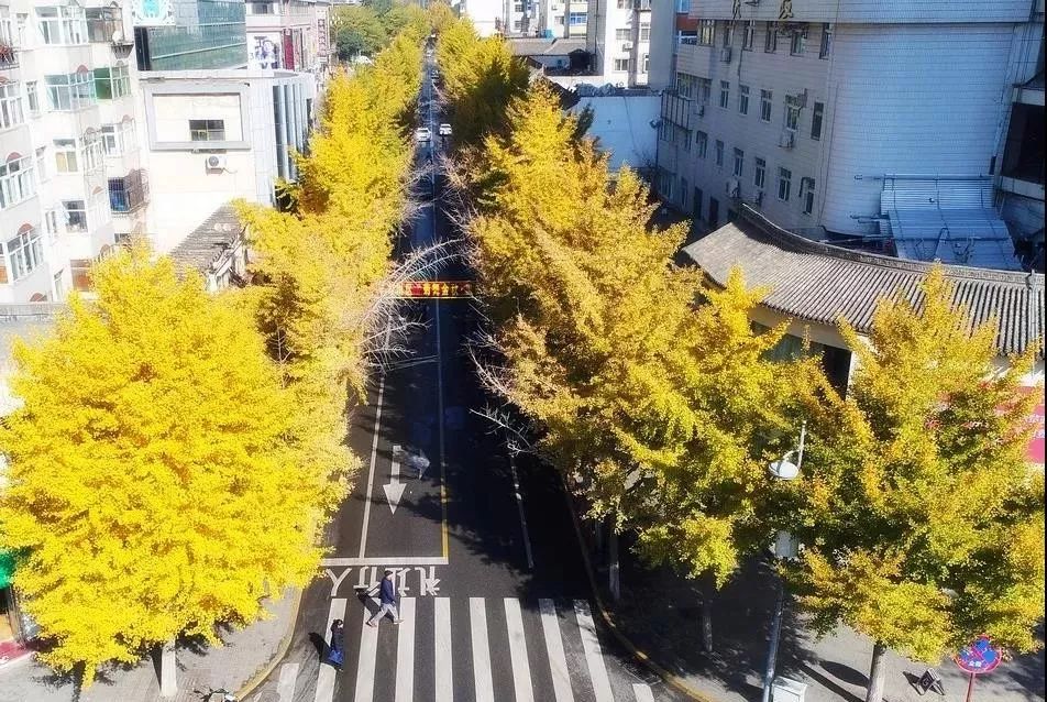 颜值大升级天水城区青年南北路要街景改造啦