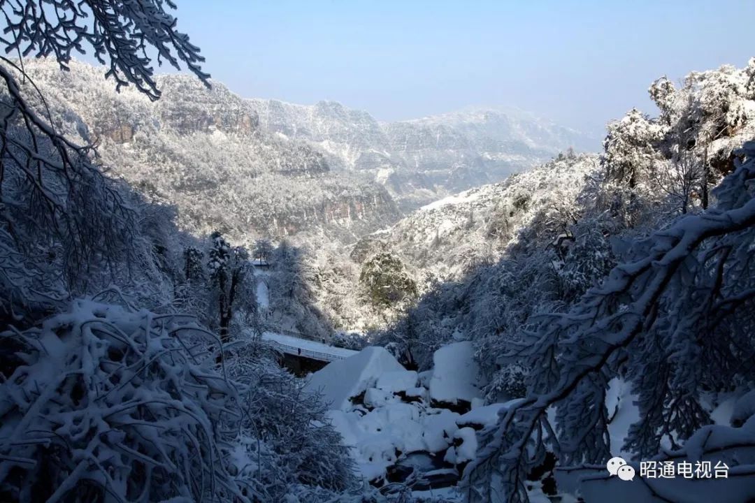 昭通小草坝雪景美艳四方