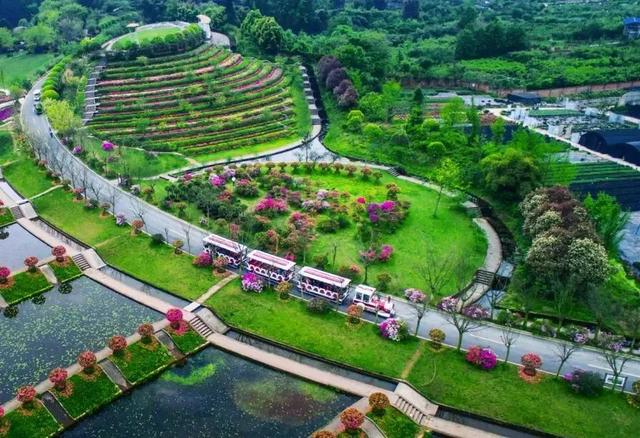 自古以来,便是成都后花园 如今的新津 依托公园城市 全域旅游建设