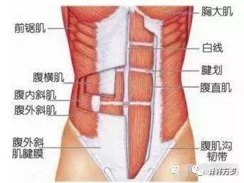 内衣勒的肋骨疼_肋骨外翻图片(2)