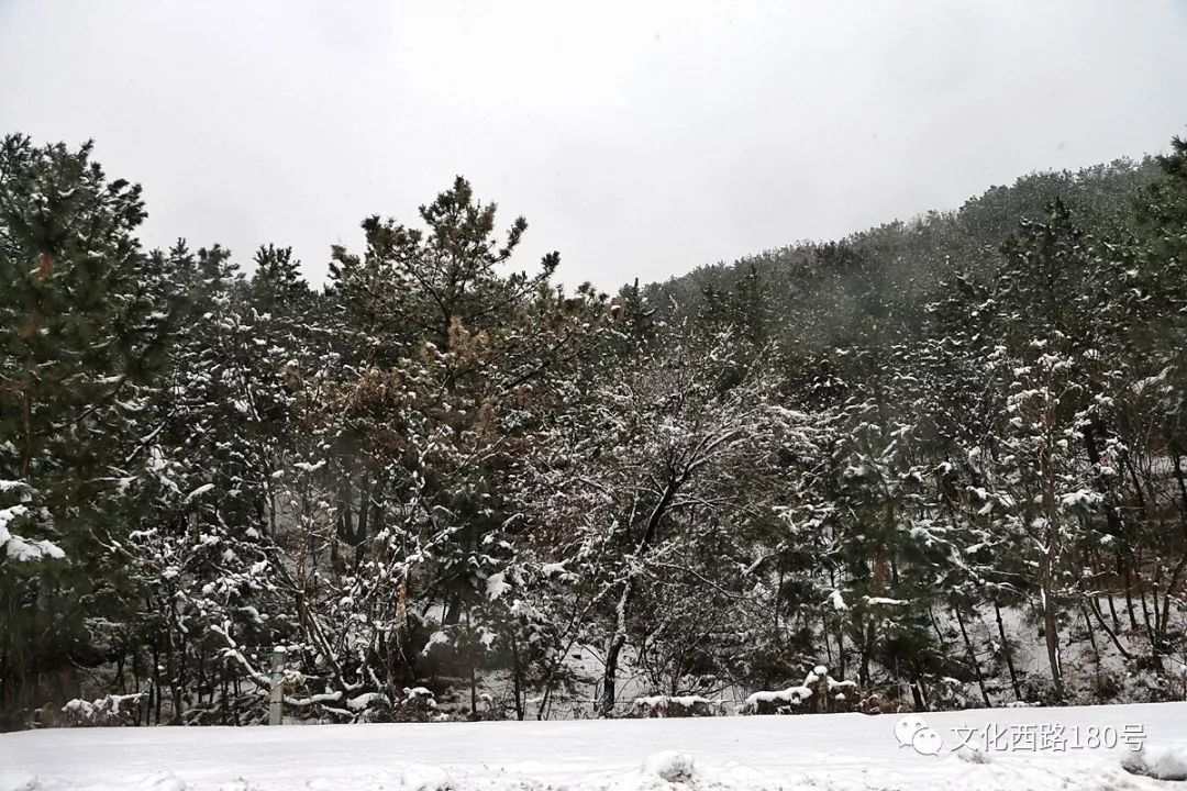 大雪中的環海路與雪後的海邊 汽車 第16張