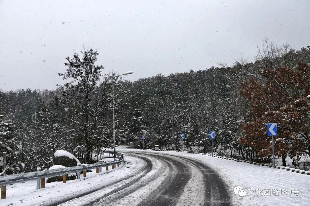 大雪中的環海路與雪後的海邊 汽車 第5張