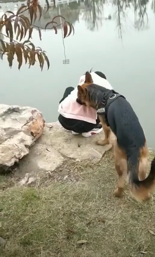 老婆蹲在河邊洗東西，狗叼著她的衣服往後拽，網友：狗在保護人 職場 第3張