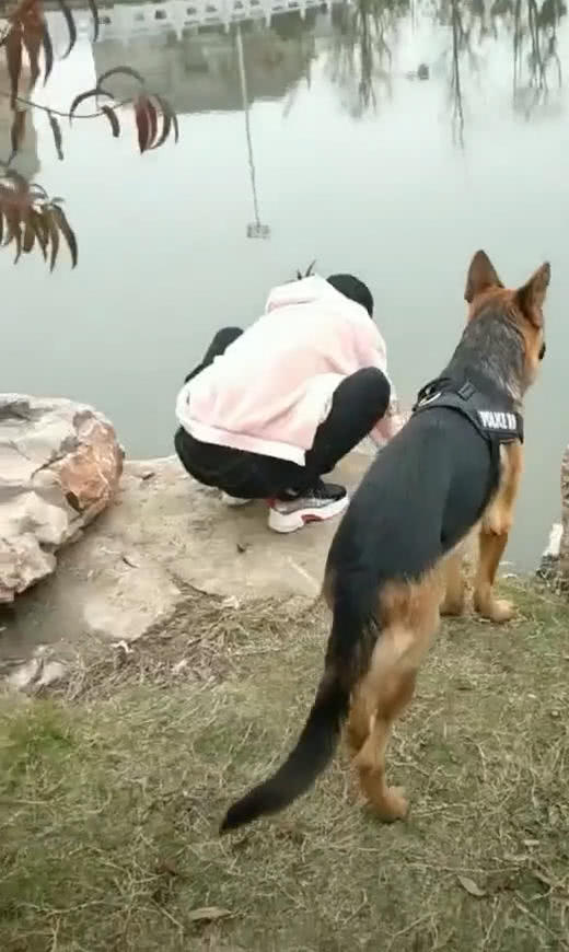 老婆蹲在河邊洗東西，狗叼著她的衣服往後拽，網友：狗在保護人 職場 第2張