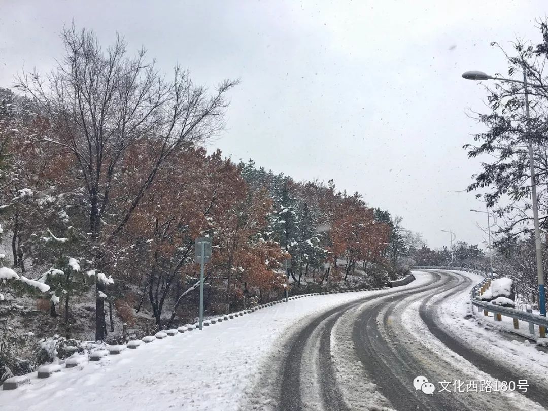 大雪中的環海路與雪後的海邊 汽車 第3張