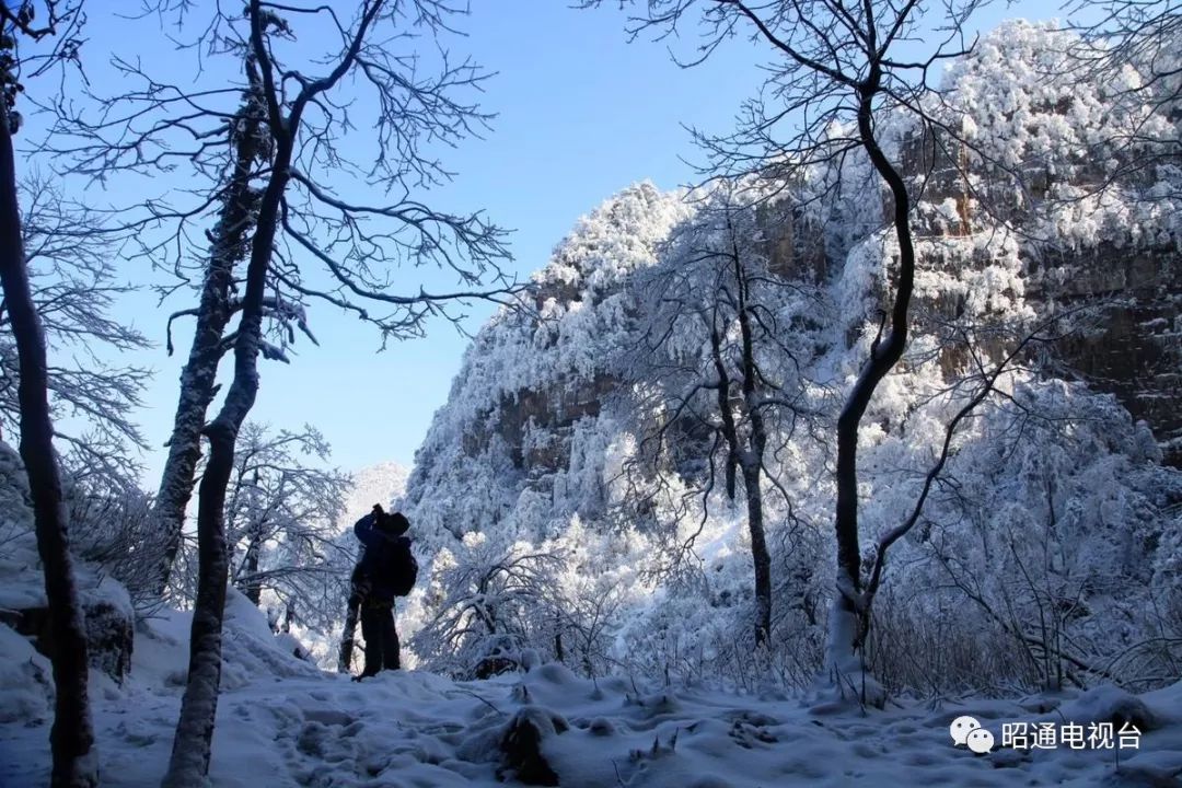 昭通小草坝雪景美艳四方