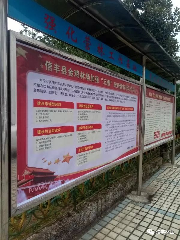 信丰县金鸡林场迅速学习宣传五型政府建设助推林场工作有序开展