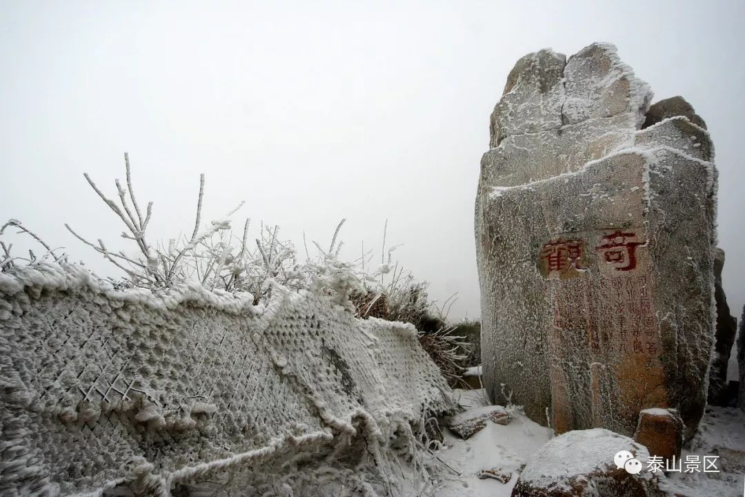 岱岳情怀