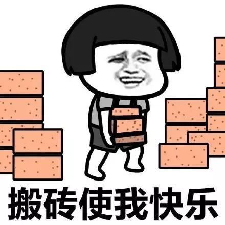 认认真真去搬砖不好嘛