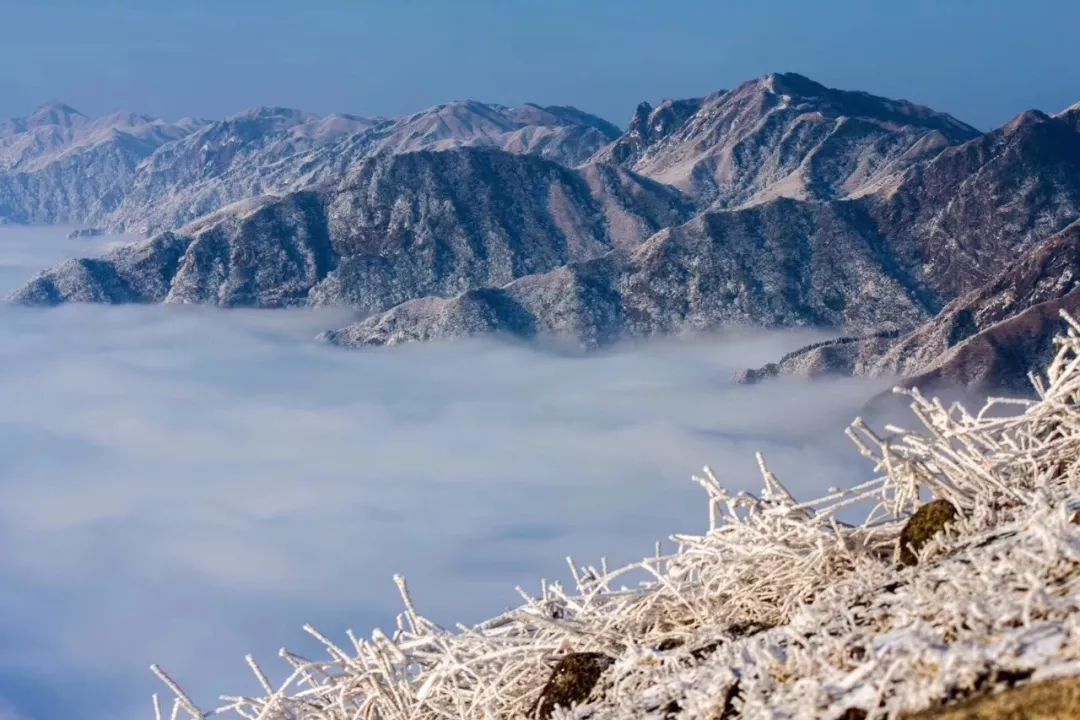 广西看雪攻略最美雪景一年就这么一次周末就出发