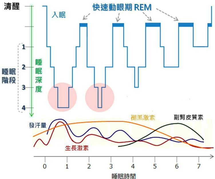 冬日物语之——势不可挡的"床板分离困难症"