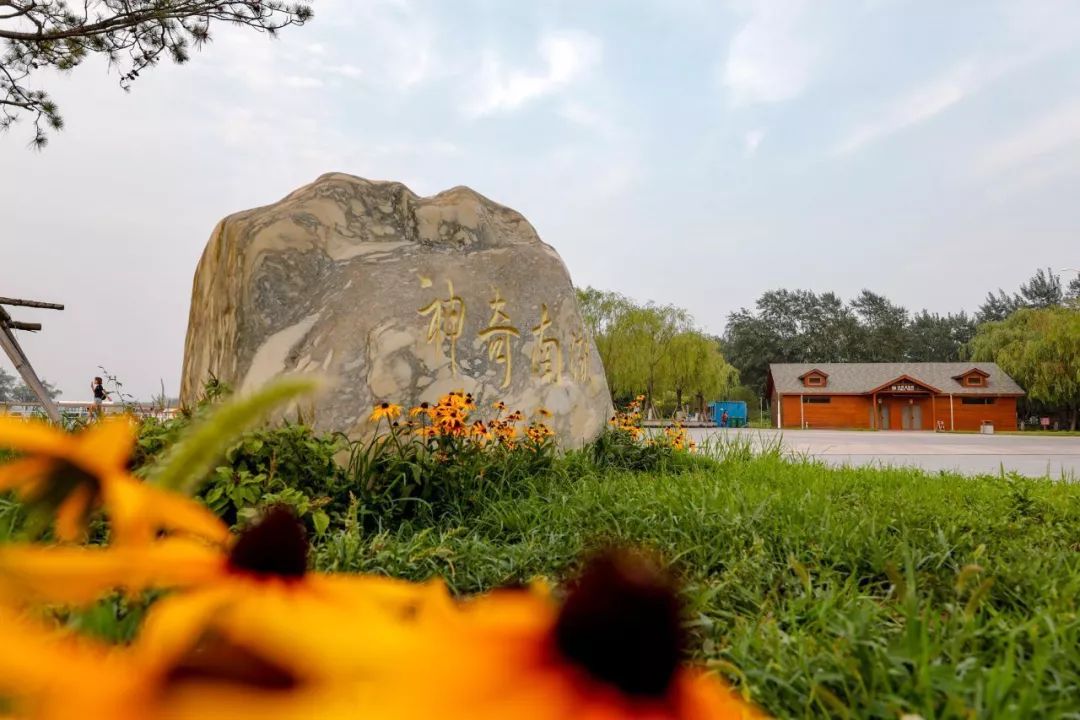 【周末游河北】唐山地标龙头景区之旅_旅游