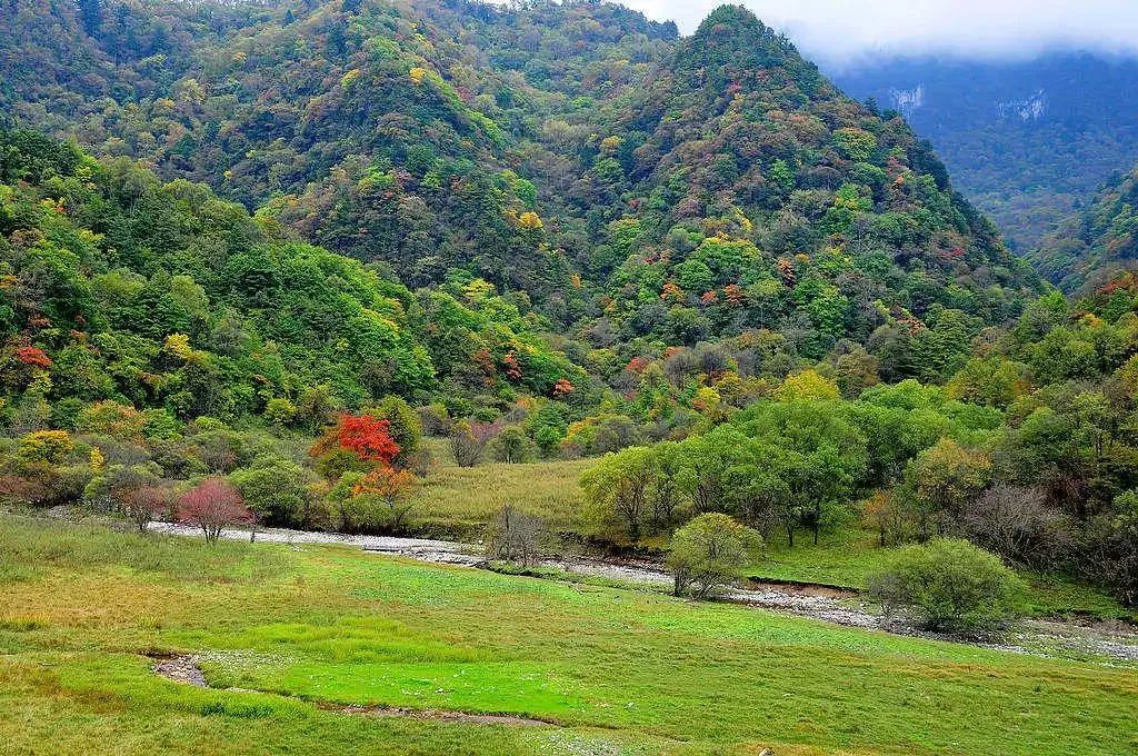 坐标:甘肃陇南市的徽县,两当两县辖区