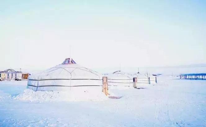 冬天到呼伦贝尔看雪,是一种不可错过的旅行