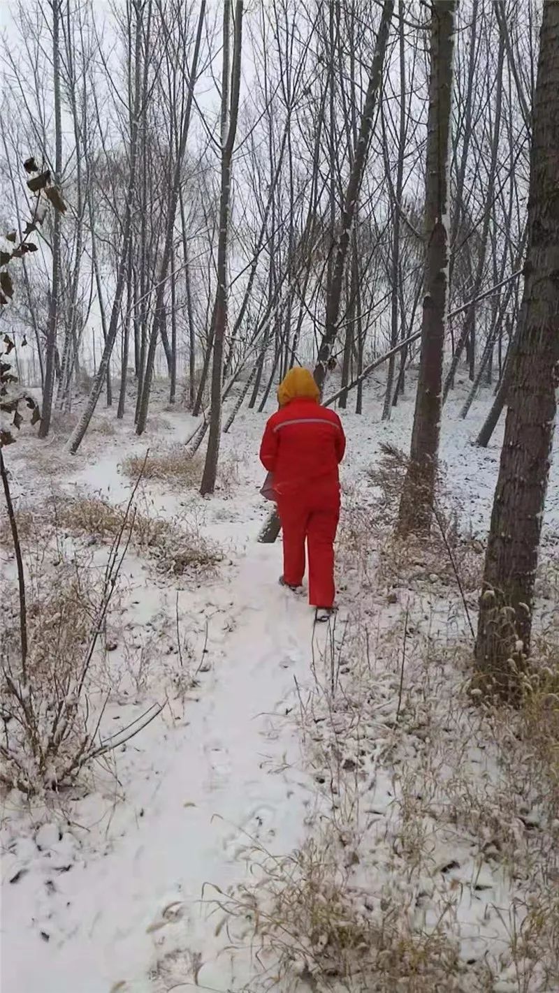 以雪为令,他们逆风而行!