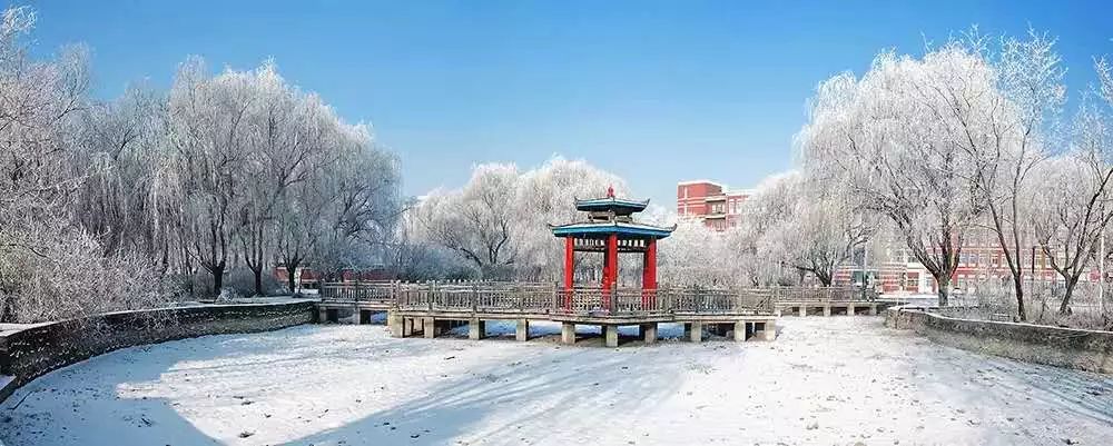 沈阳各大高校雪景大比拼,你觉得哪所高校雪景最美?快来为母校打call!