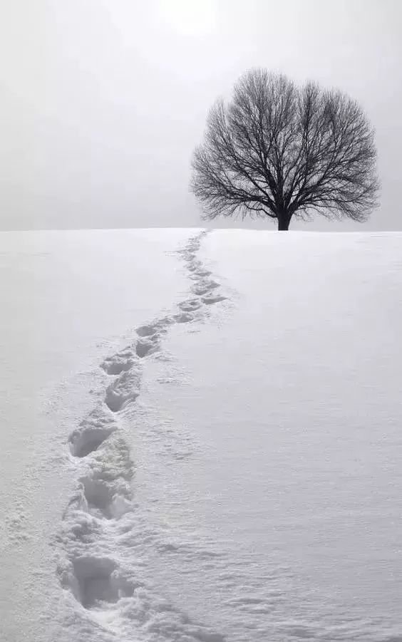 下雪天这么拍绝对惊艳朋友圈