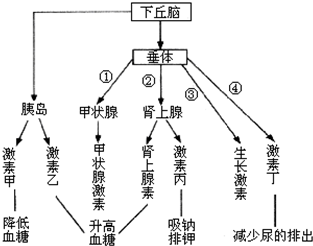 饿的原理_流量小花综艺首谈婚恋观,拼命奋斗竟是为攒嫁妆钱