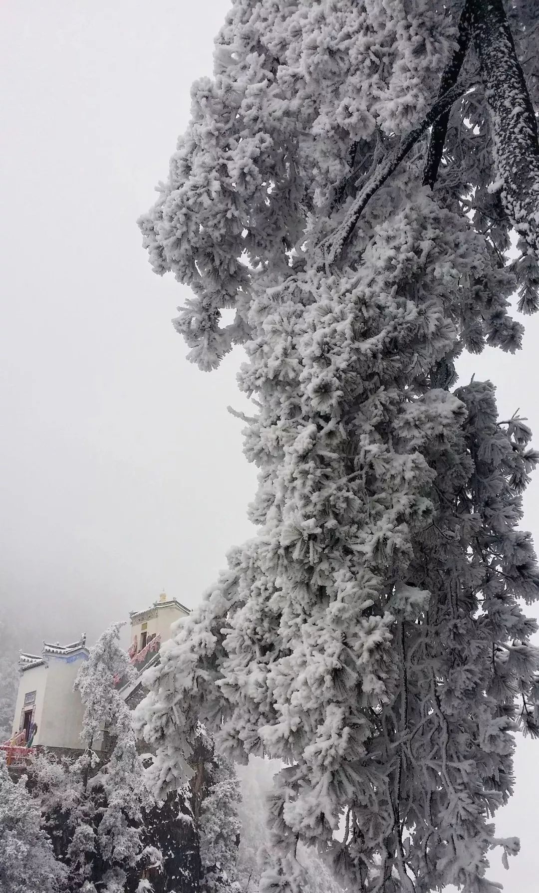 西安出发20元直达雾凇金顶晴空雪霁这座小城简直是世外桃源