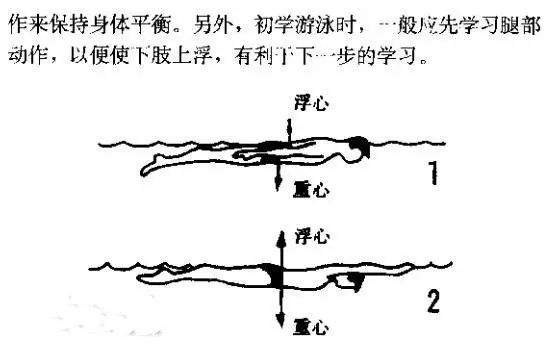 对游泳教学中漂浮滑行技术原理及动作结构的研究 人体