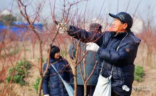 中央台致富节目有哪些_中央7套致富经_中央致富经是真的假的