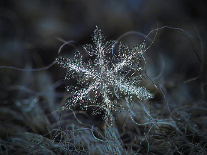 他用8个冬天拍下雪花的样子,每一朵都如此惊艳!