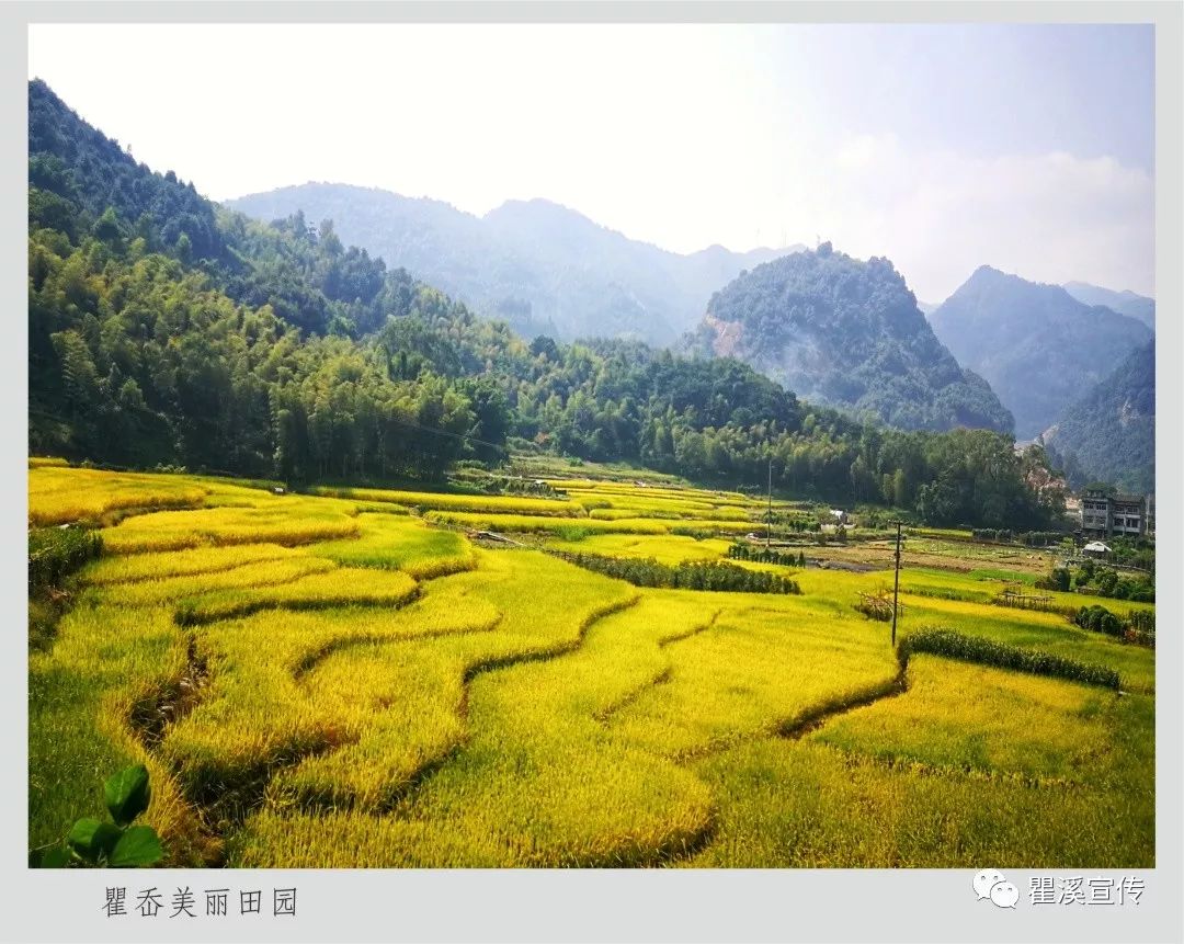 瓯海区瞿溪街道瞿岙村 党建 生态:"富美村"养成记