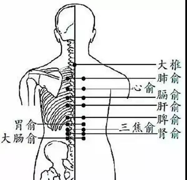 3,揉地筋:方法可参见疏肝健脾益智揉脚功——小脚丫里的大秘密 董氏