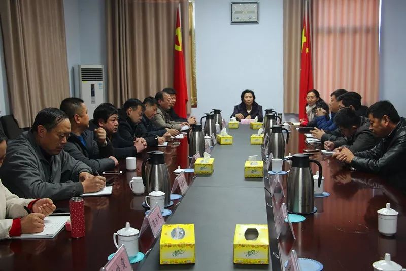 12月12日上午,安丘市人大常委会主任任海燕一行来凌河镇召开代表座谈