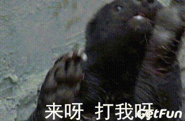 網紅肌肉袋鼠去世 動物大佬們的江湖傳說了解下 職場 第16張