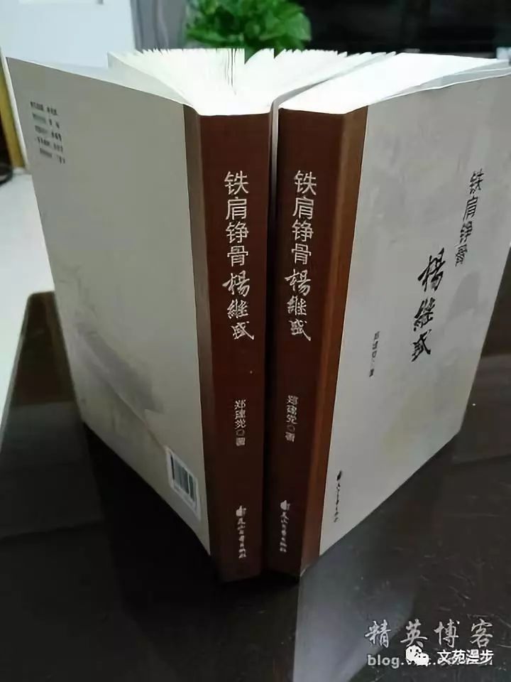 杜崇斌 一曲慷慨沉雄的民族正气之歌—评《铁肩铮骨杨继盛》