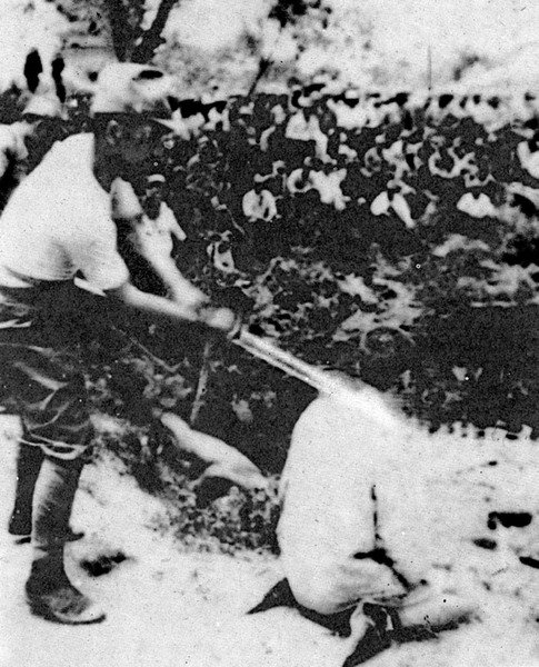 南京大屠杀老照片日军斩杀国人全过程路上见中国人就随意枪杀