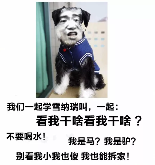 为什么不学狗叫呢?