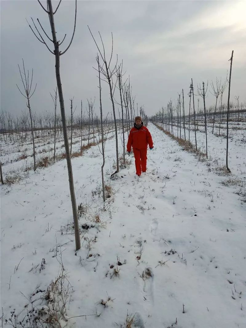 以雪为令,他们逆风而行!_风雪