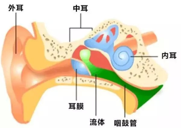 中耳炎,为了避开你我该怎么办?