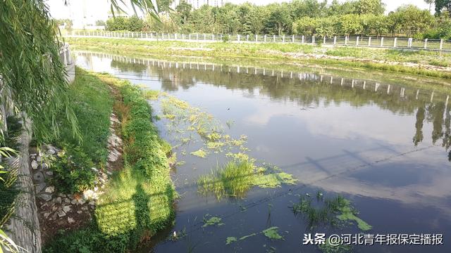 黄花沟河道(资料图)