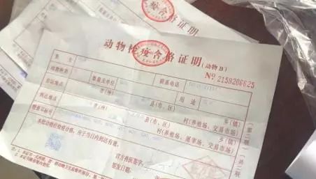 (当天已开具好的合格证与检疫证明)