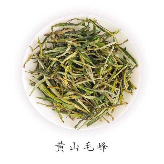 齐云茶鉴百科课堂第3节:黄山毛峰