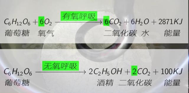 发酵不起来的面团怎么办